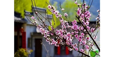 9888˹ά˹һչἴδϮ׼